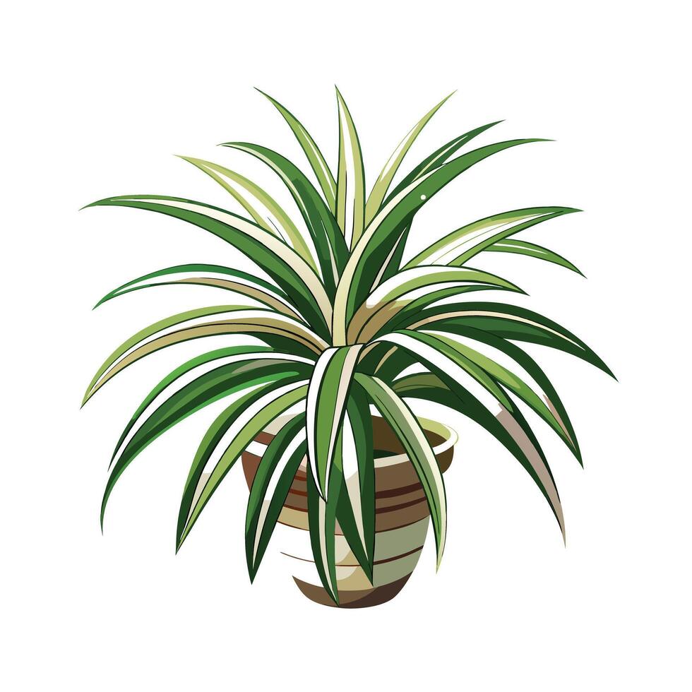 Beautiful Flowerpot Houseplant Illustration vector