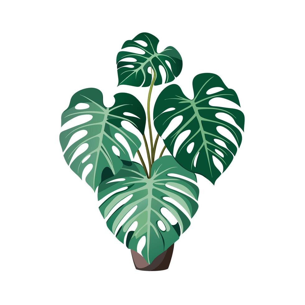 Beautiful Flowerpot Houseplant Illustration vector