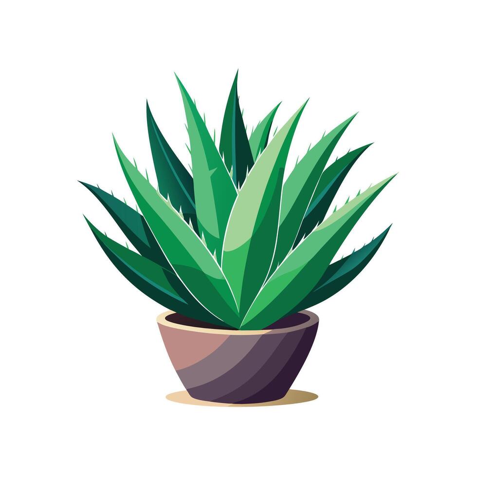Beautiful Flowerpot Houseplant Illustration vector