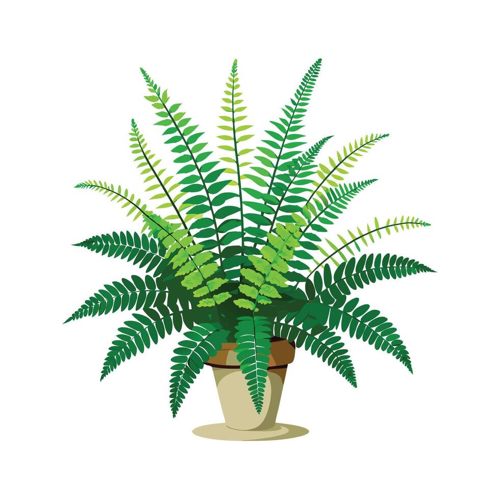 Beautiful Flowerpot Houseplant Illustration vector