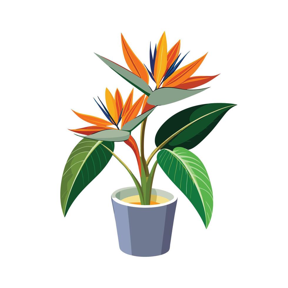 Beautiful Flowerpot Houseplant Illustration vector