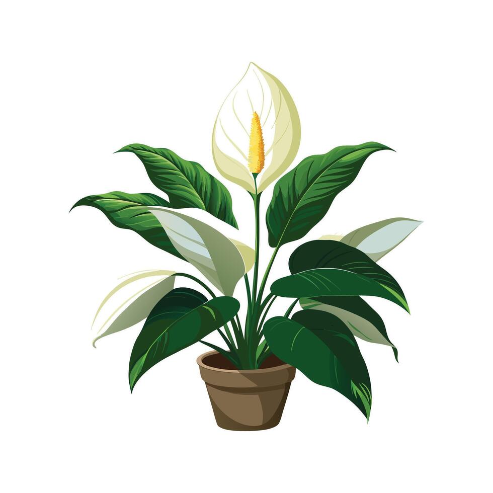 Beautiful Flowerpot Houseplant Illustration vector