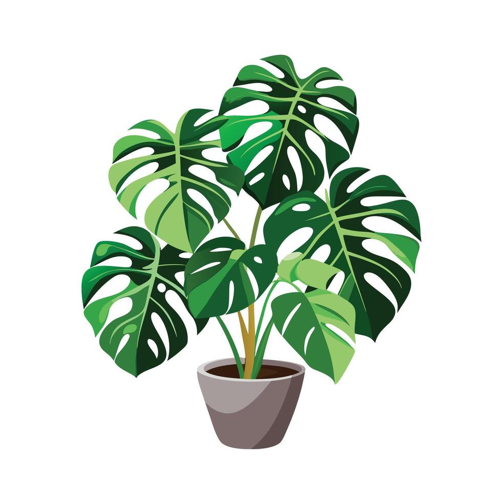 Beautiful Flowerpot Houseplant Illustration vector
