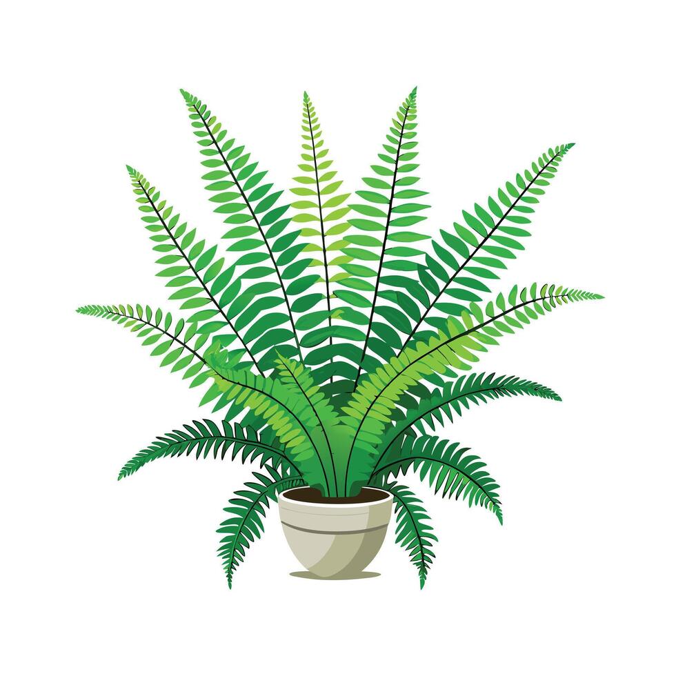 Beautiful Flowerpot Houseplant Illustration vector