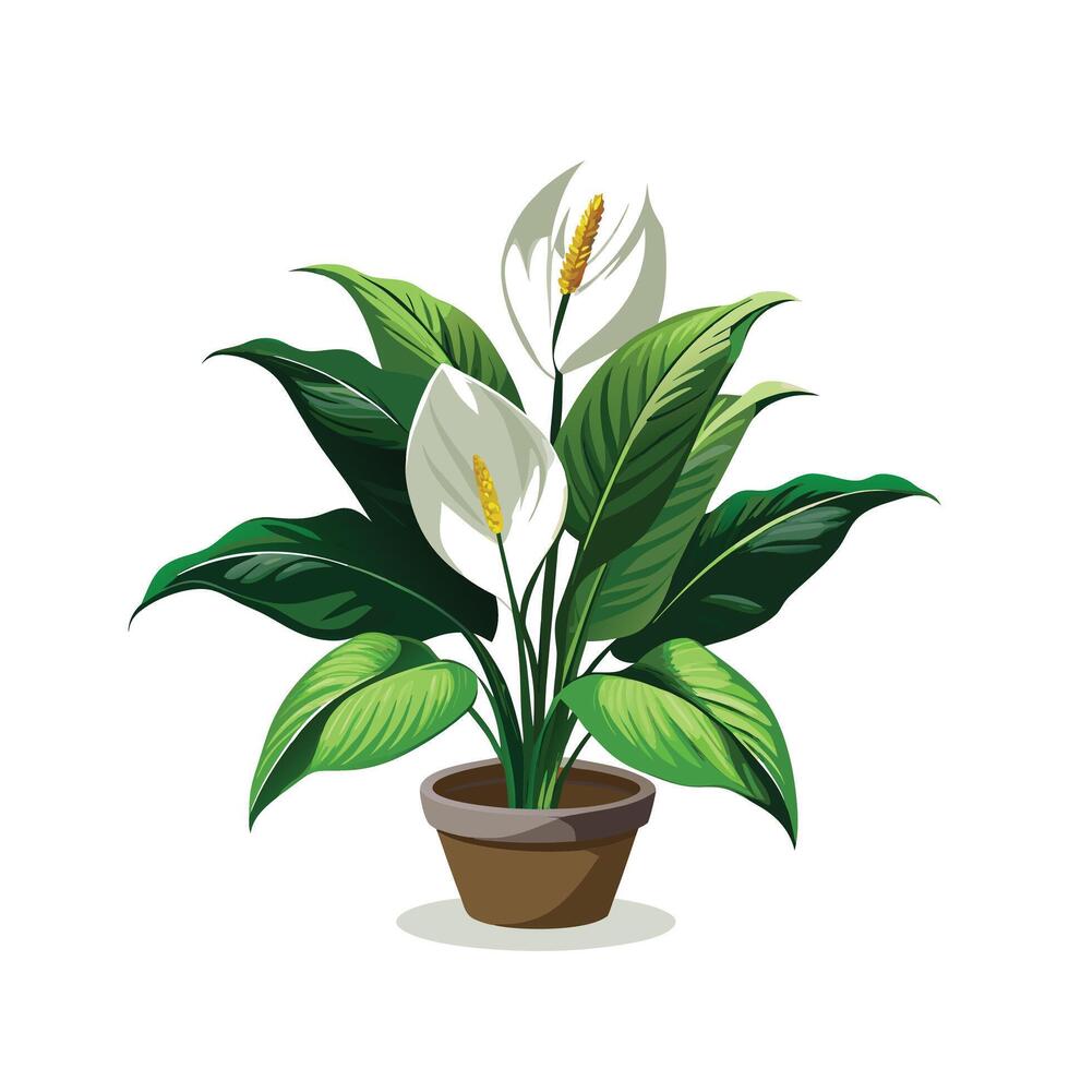 Beautiful Flowerpot Houseplant Illustration vector