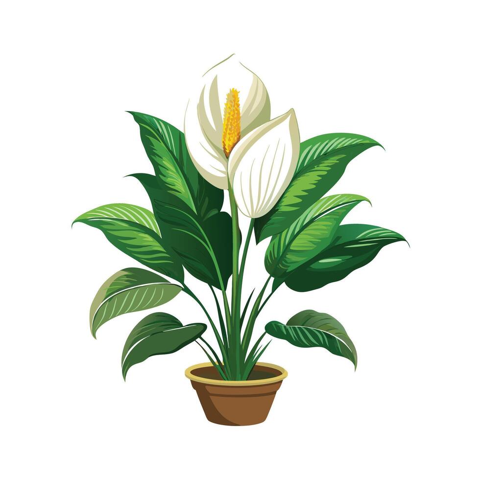 Beautiful Flowerpot Houseplant Illustration vector