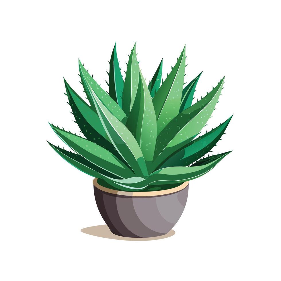 Beautiful Flowerpot Houseplant Illustration vector
