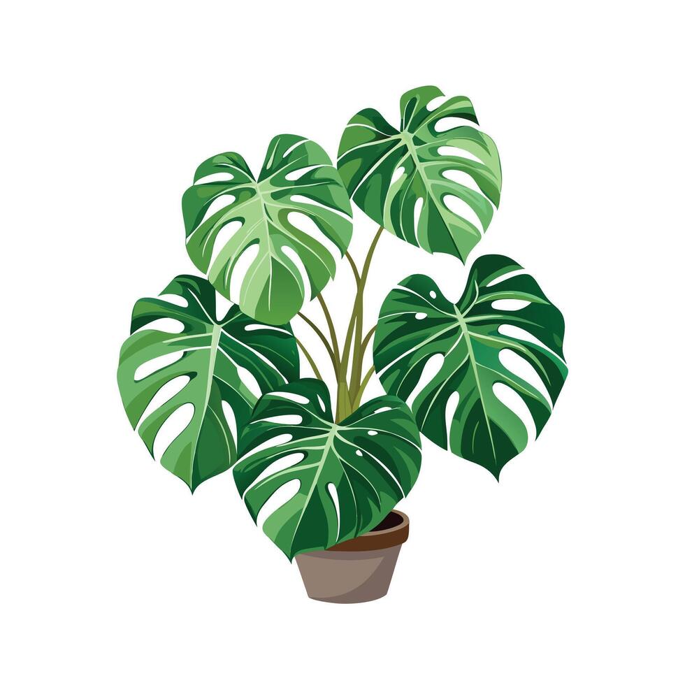 Beautiful Flowerpot Houseplant Illustration vector
