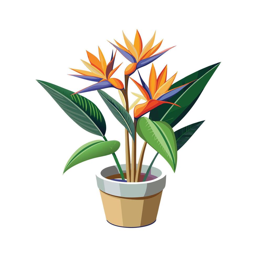 Beautiful Flowerpot Houseplant Illustration vector
