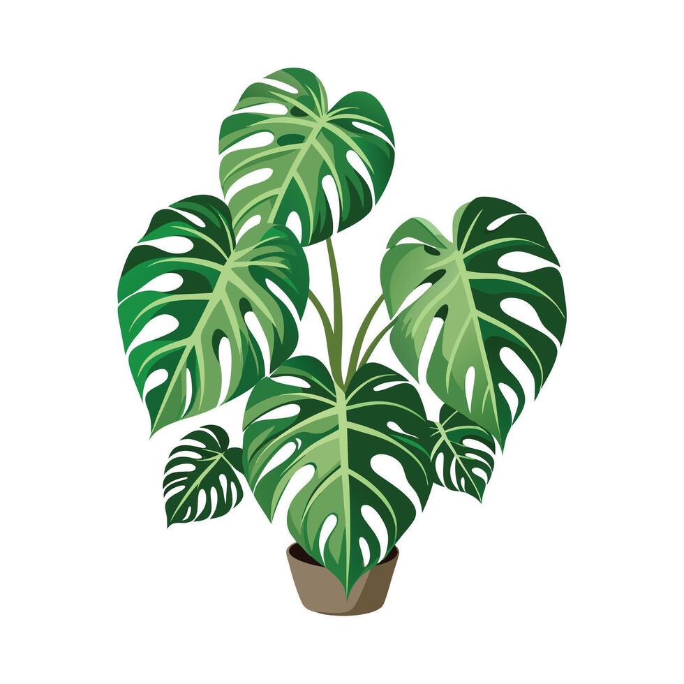 Beautiful Flowerpot Houseplant Illustration vector
