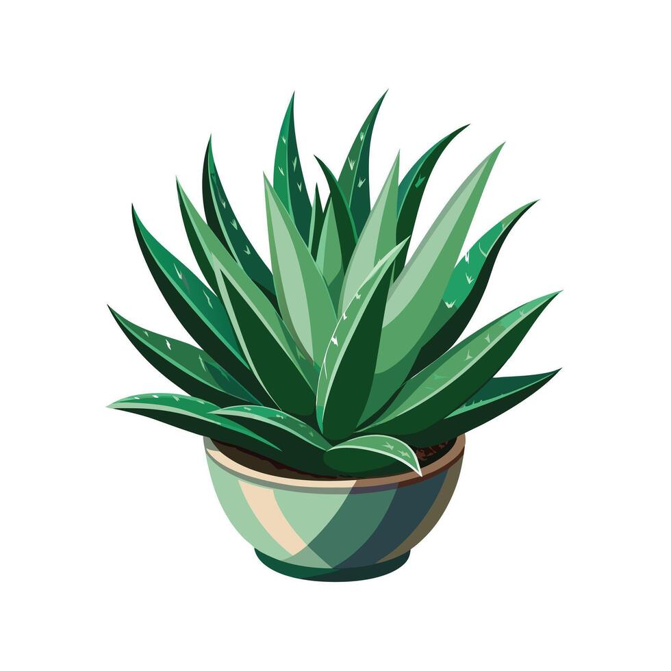 Beautiful Flowerpot Houseplant Illustration vector