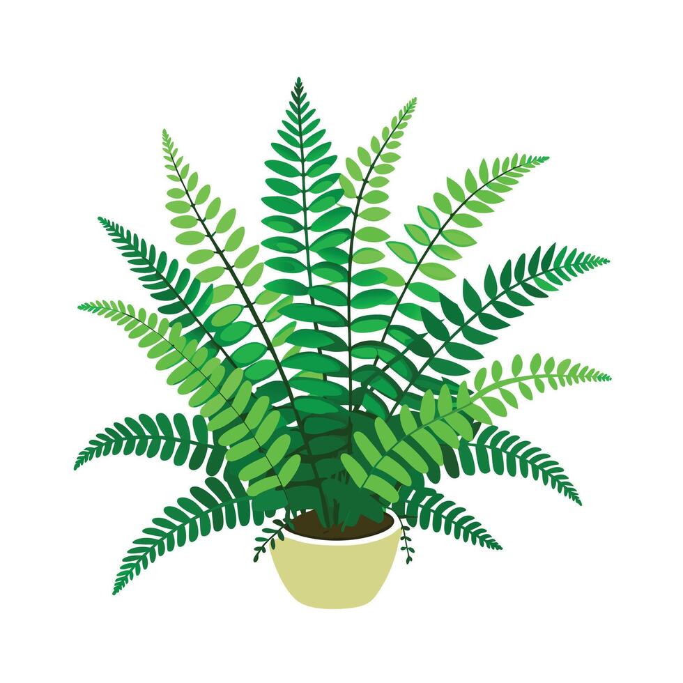 Beautiful Flowerpot Houseplant Illustration vector
