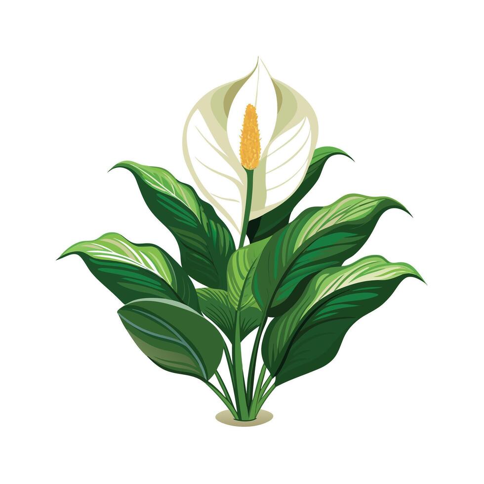 Beautiful Flowerpot Houseplant Illustration vector