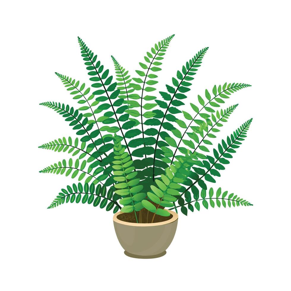 Beautiful Flowerpot Houseplant Illustration vector