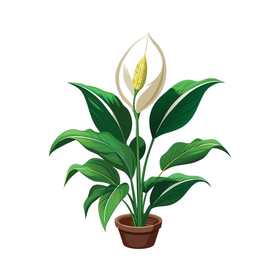 Beautiful Flowerpot Houseplant Illustration vector