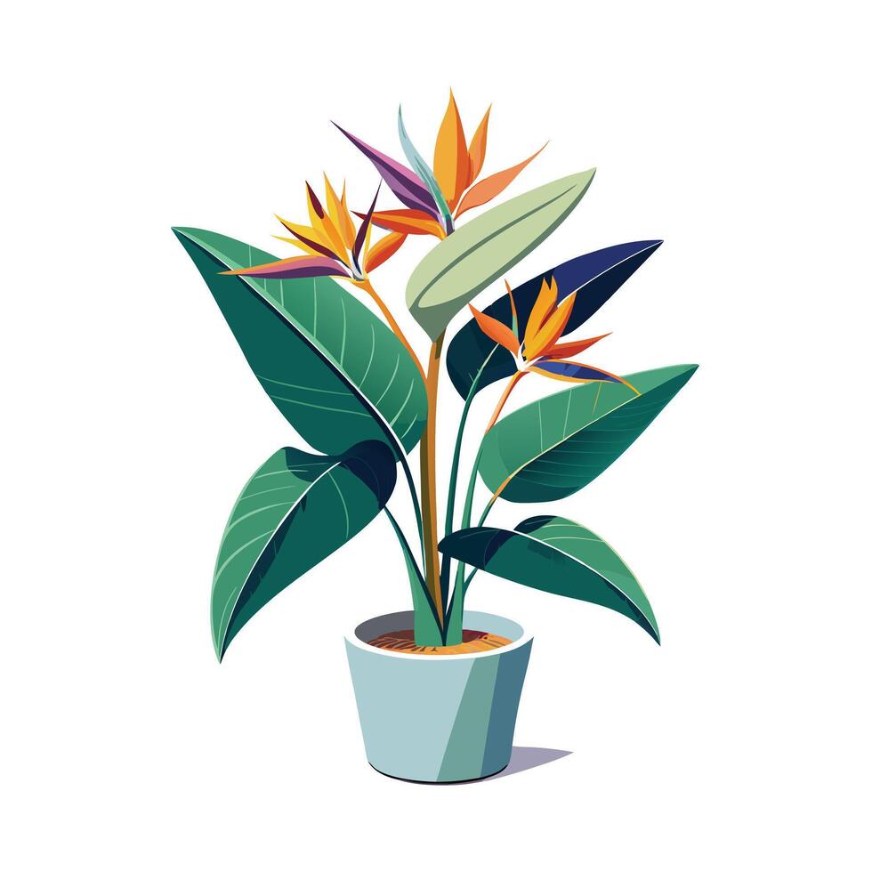 Beautiful Flowerpot Houseplant Illustration vector