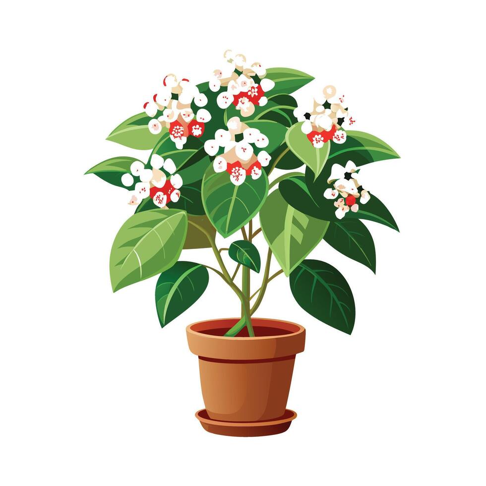 Beautiful Flowerpot Houseplant Illustration vector