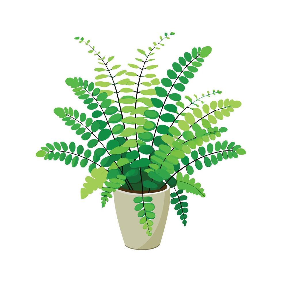 Beautiful Flowerpot Houseplant Illustration vector