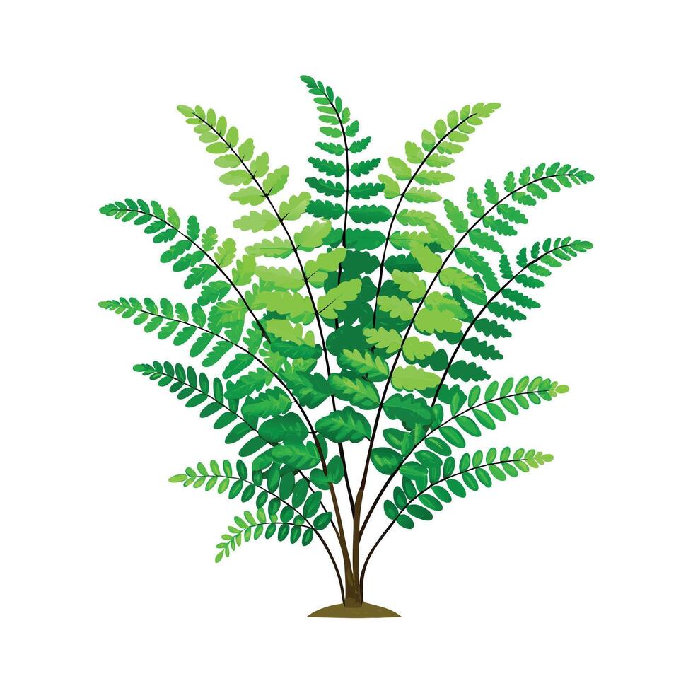 Beautiful Flowerpot Houseplant Illustration vector