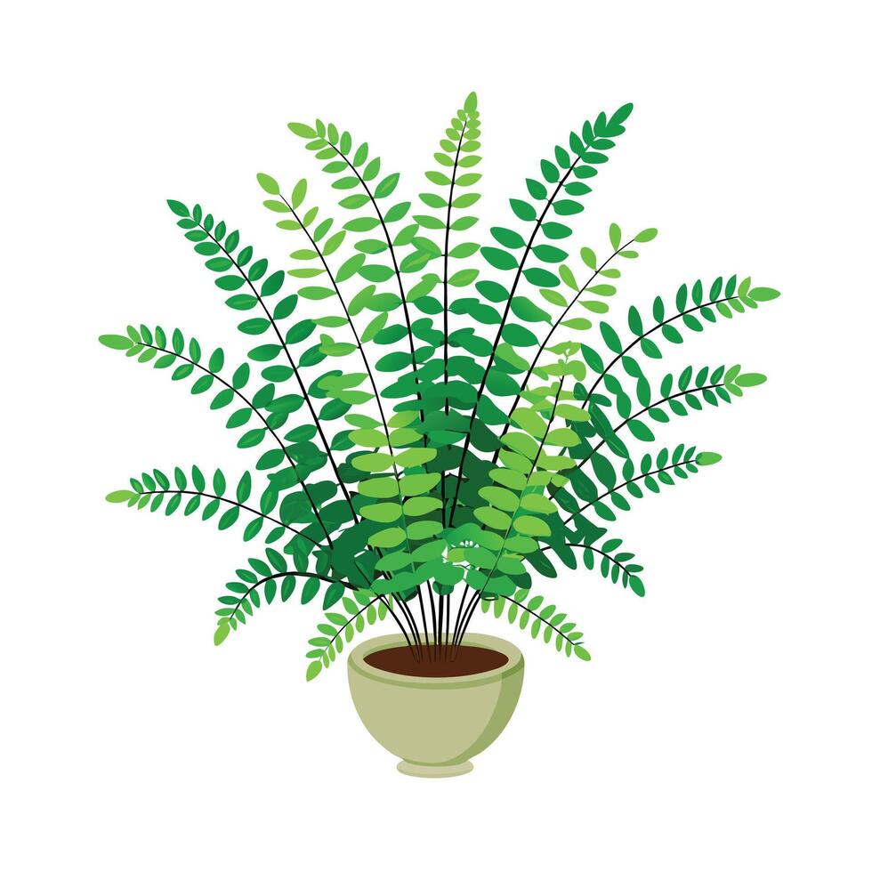 Beautiful Flowerpot Houseplant Illustration vector