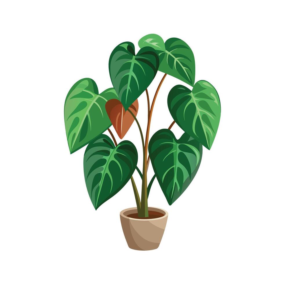 Beautiful Flowerpot Houseplant Illustration vector