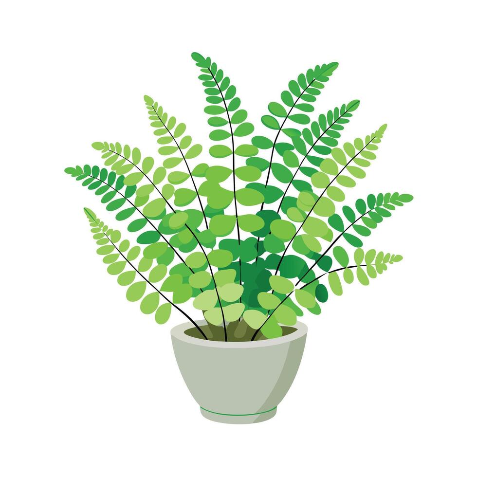 Beautiful Flowerpot Houseplant Illustration vector