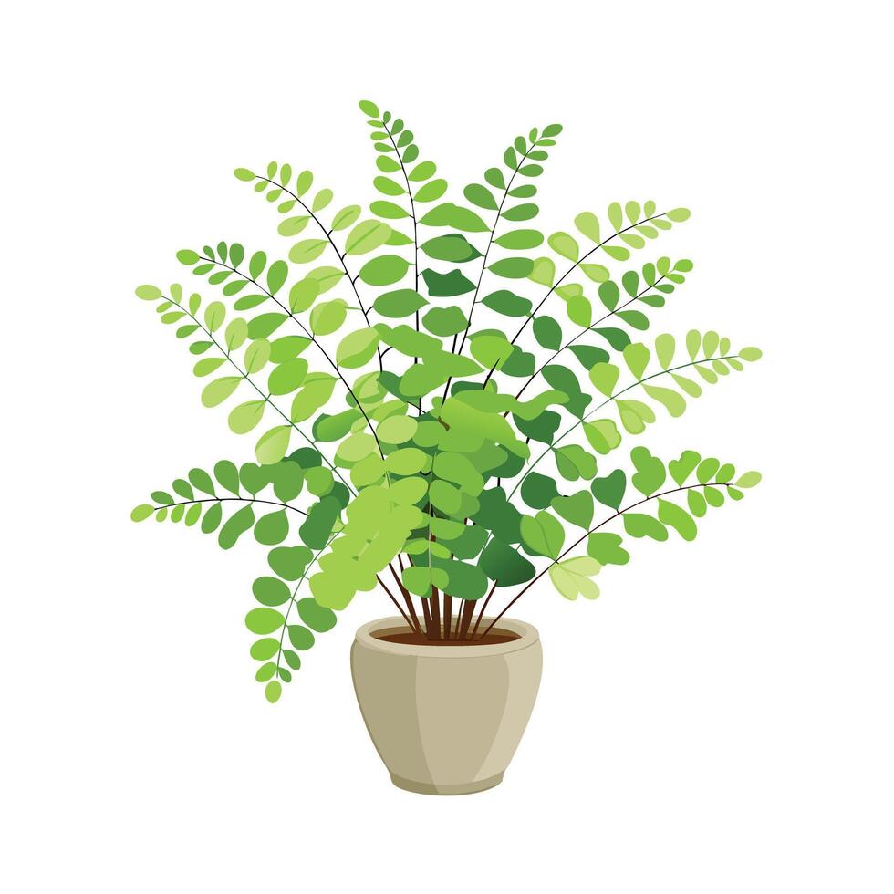 Beautiful Flowerpot Houseplant Illustration vector