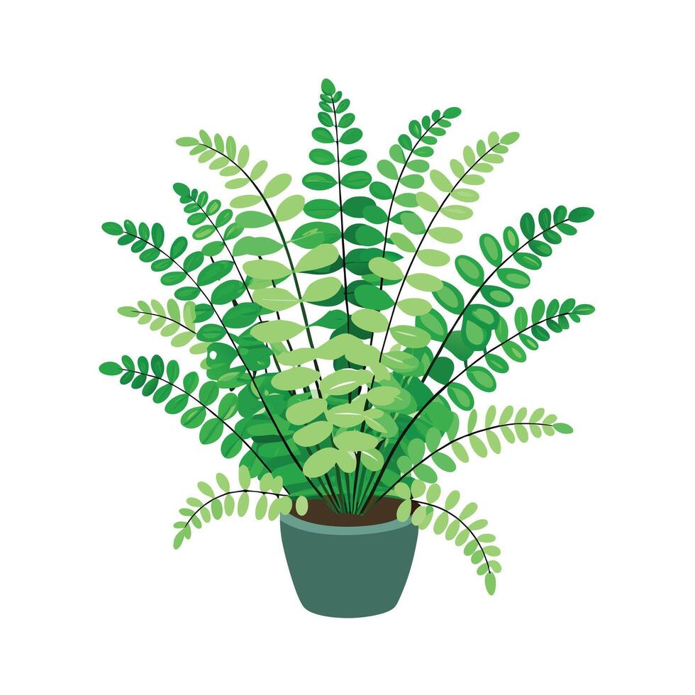 Beautiful Flowerpot Houseplant Illustration vector
