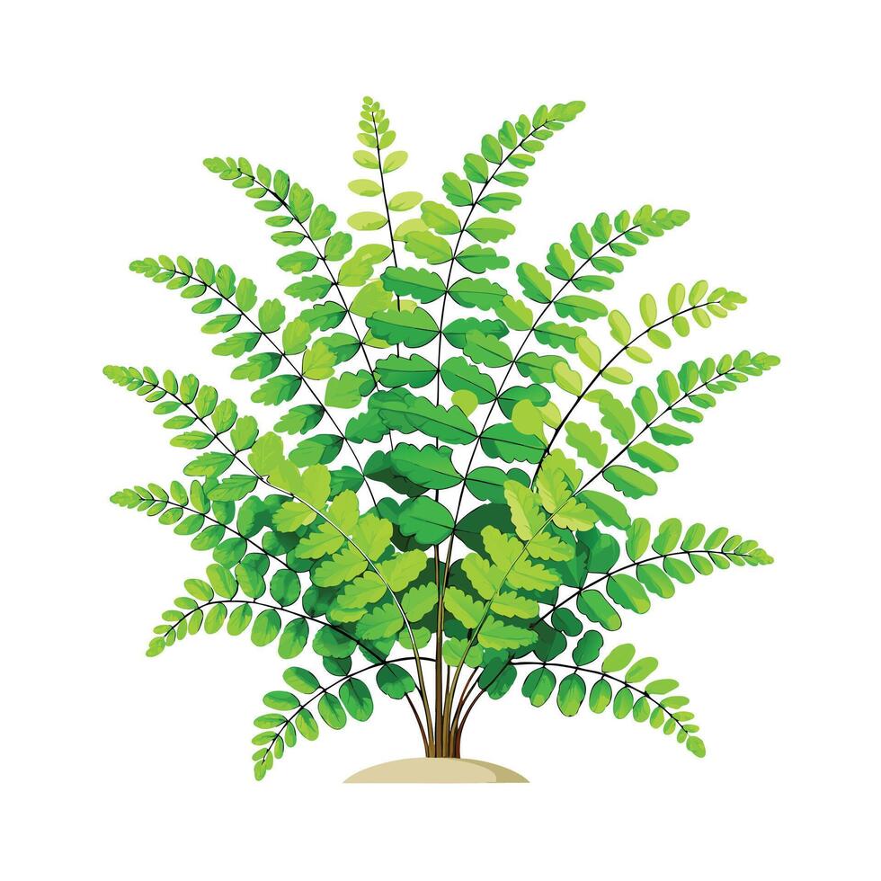 Beautiful Flowerpot Houseplant Illustration vector