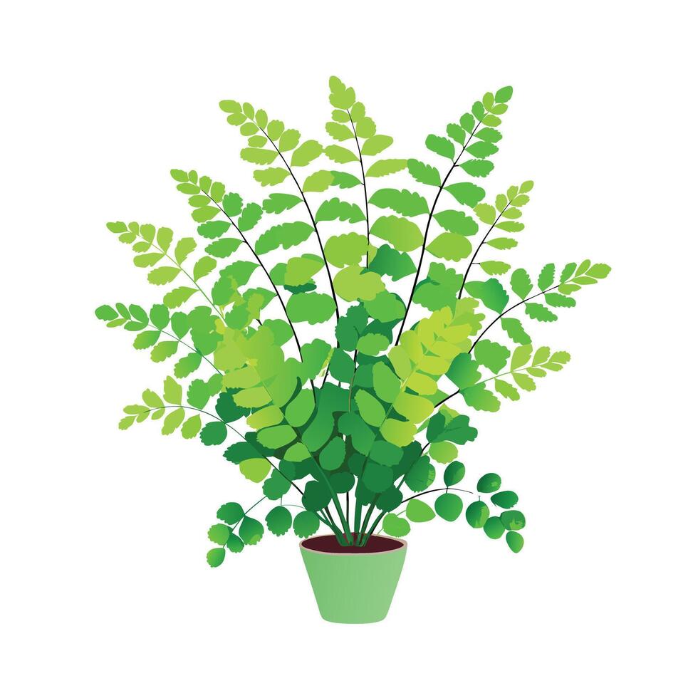 Beautiful Flowerpot Houseplant Illustration vector