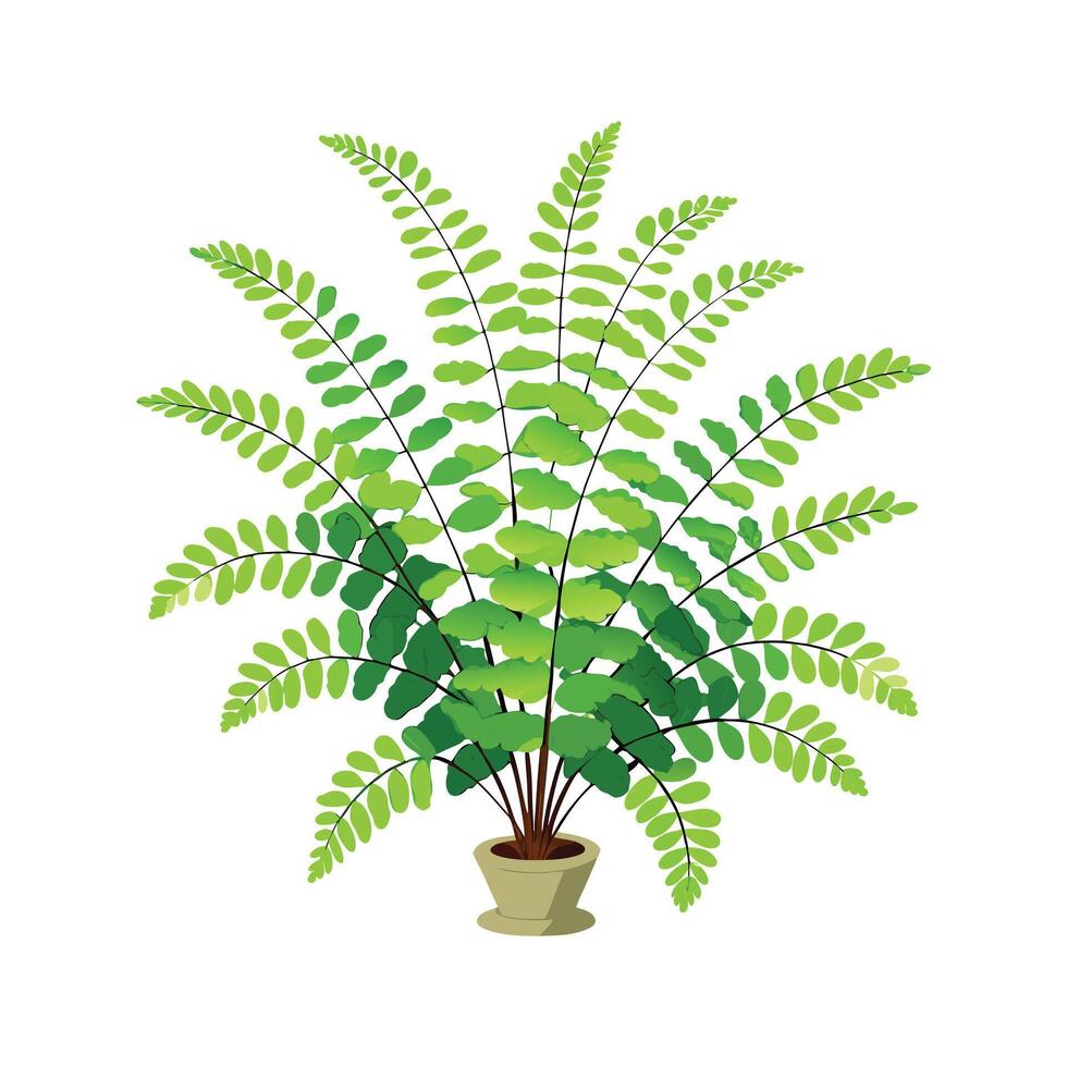 Beautiful Flowerpot Houseplant Illustration vector