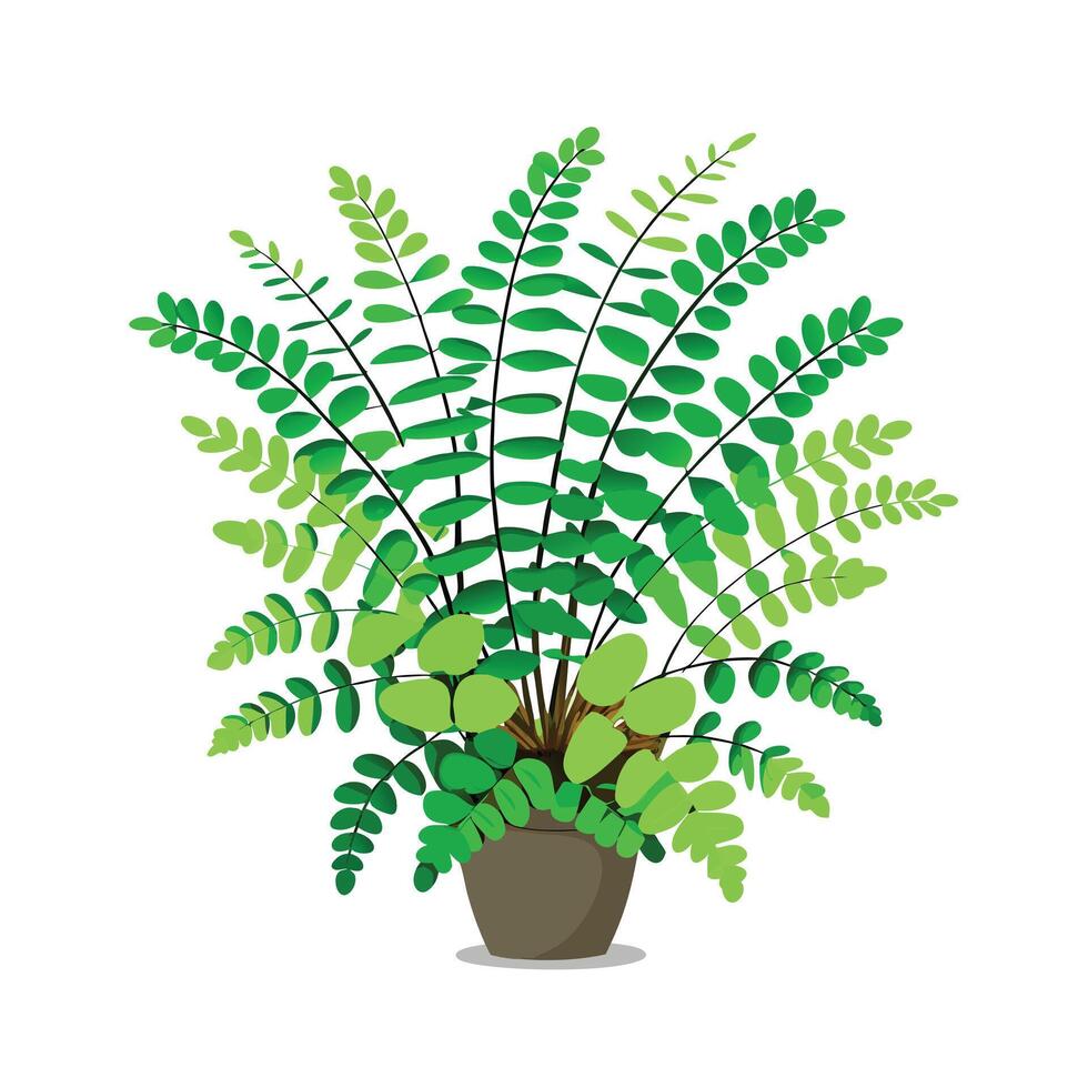 Beautiful Flowerpot Houseplant Illustration vector