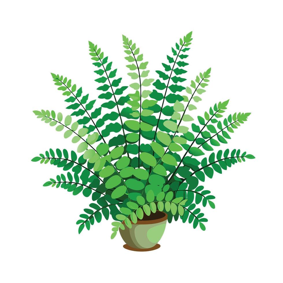 Beautiful Flowerpot Houseplant Illustration vector