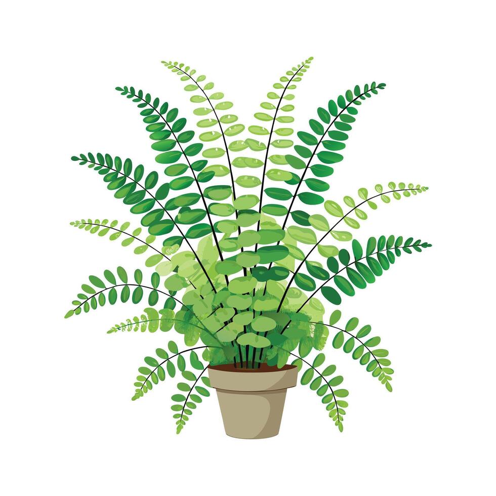 Beautiful Flowerpot Houseplant Illustration vector