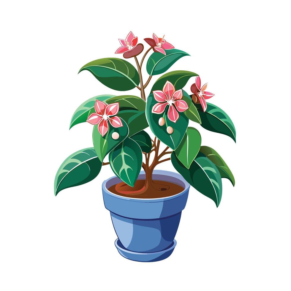 Beautiful Flowerpot Houseplant Illustration vector