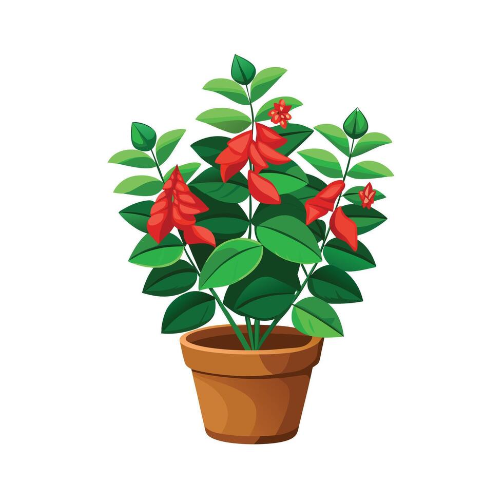 Beautiful Flowerpot Houseplant Illustration vector