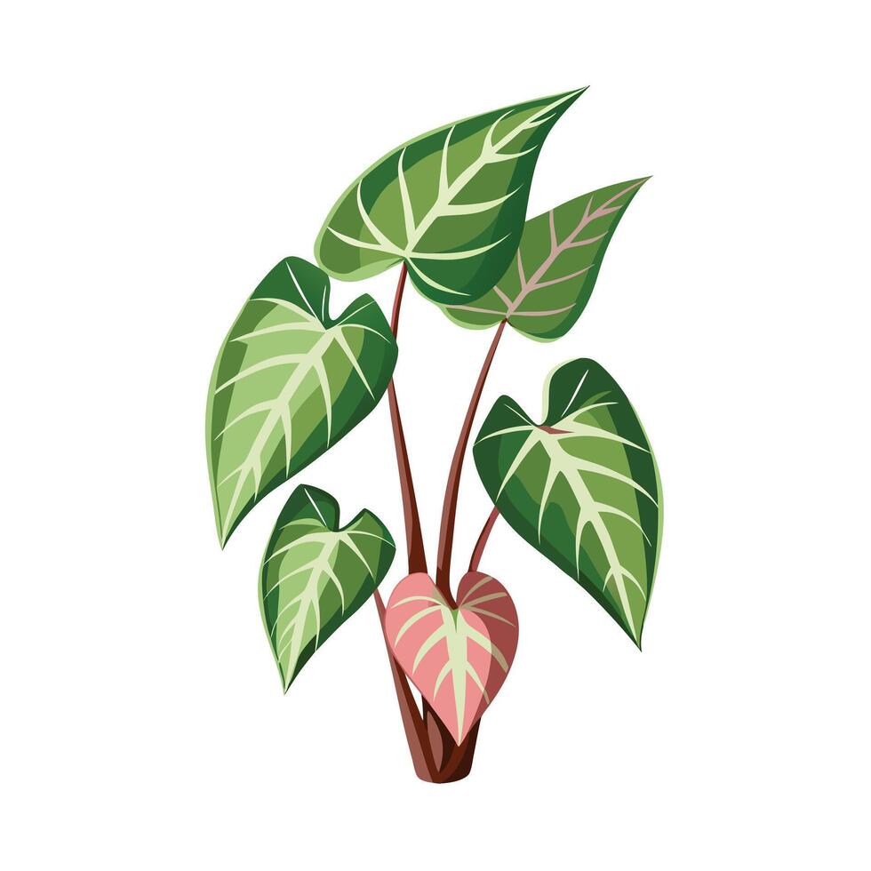 Beautiful Flowerpot Houseplant Illustration vector