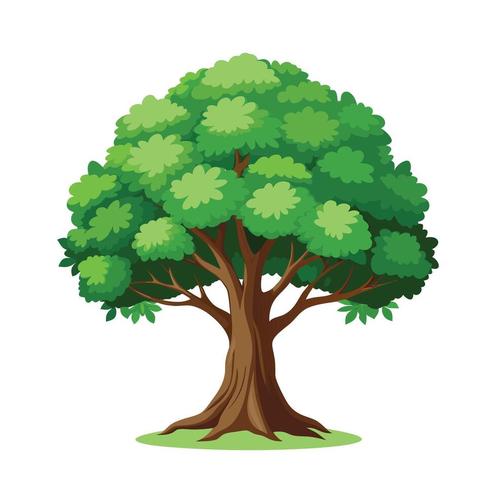 Beautiful Single Big Tree Illustration vector