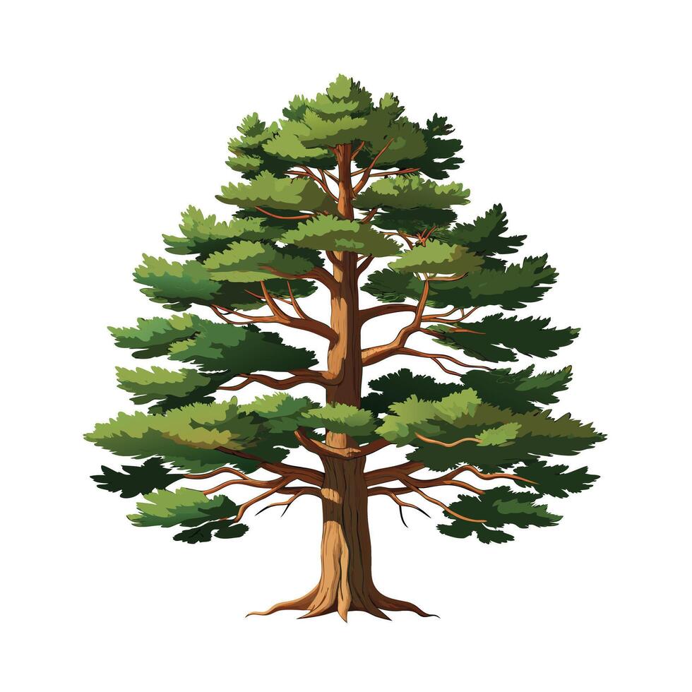 Beautiful Single Big Tree Illustration vector
