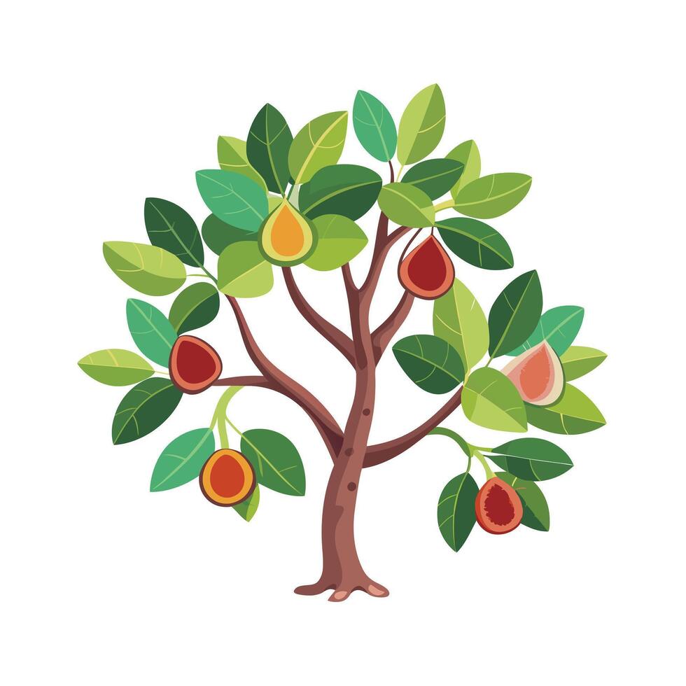 Beautiful Single Big Tree Illustration vector