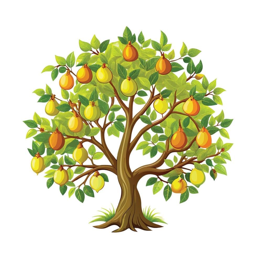 Beautiful Single Big Tree Illustration vector