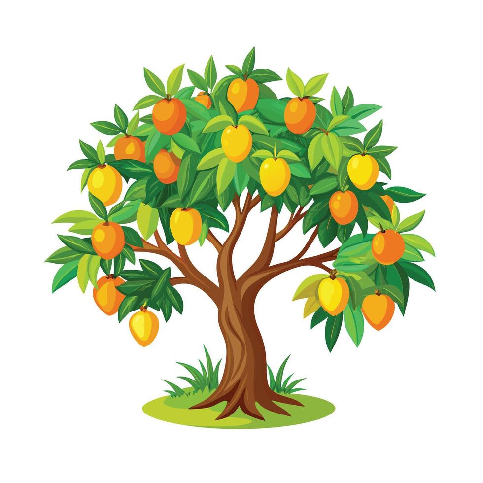 Beautiful Single Big Tree Illustration vector