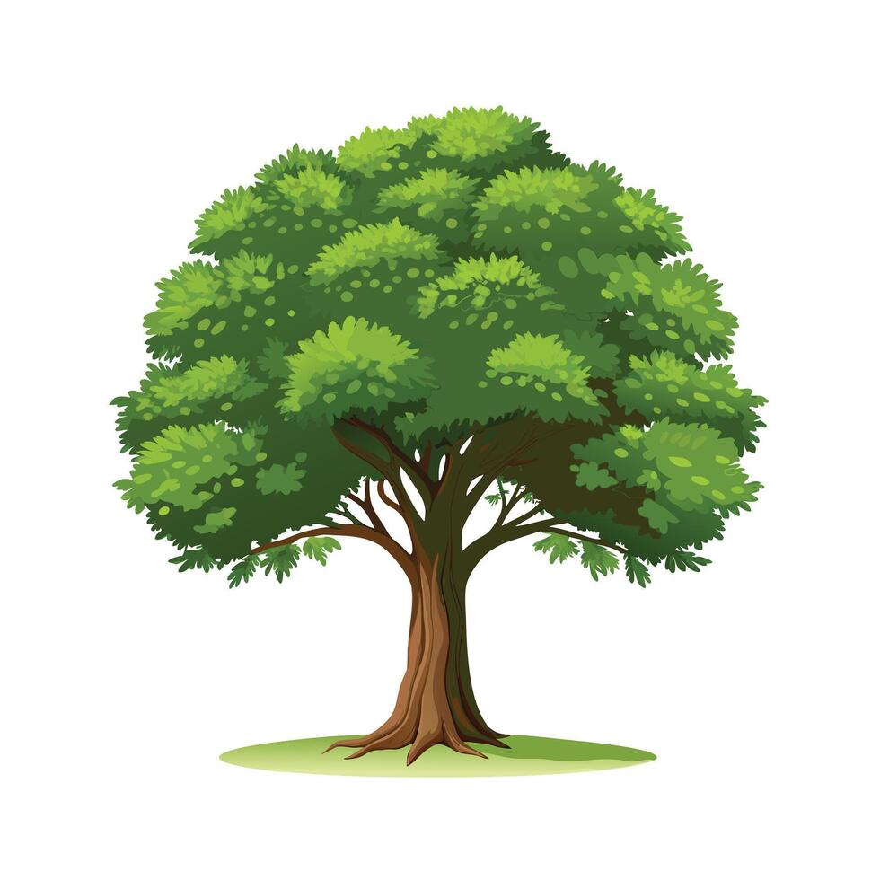 Beautiful Single Big Tree Illustration vector
