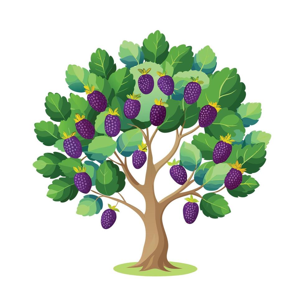 Beautiful Single Big Tree Illustration vector