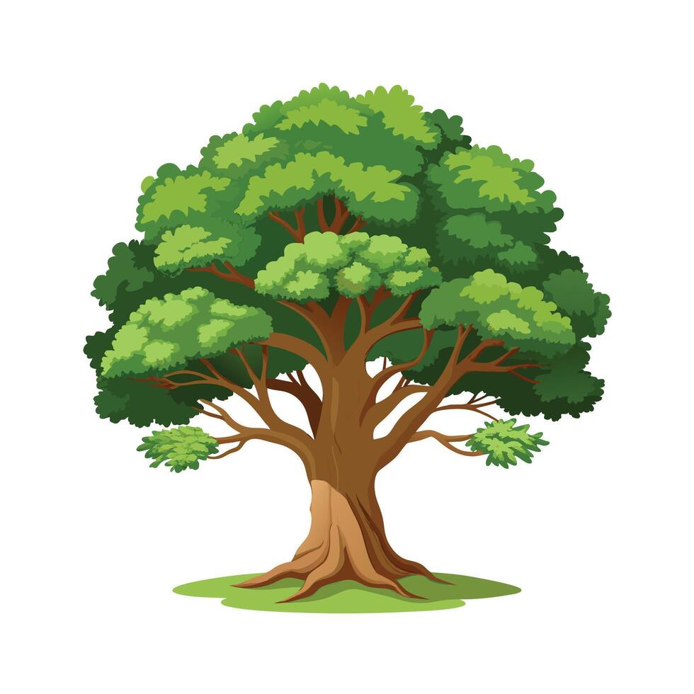 Beautiful Single Big Tree Illustration vector