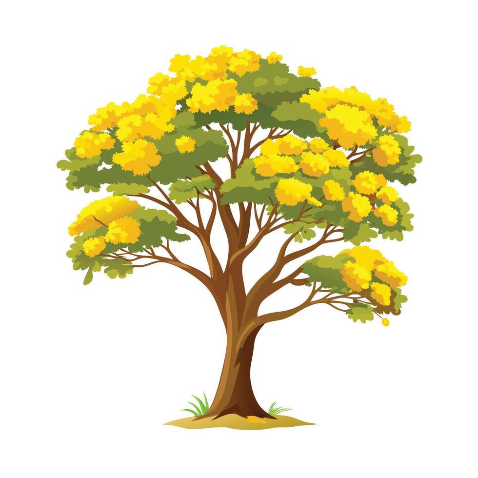Beautiful Single Big Tree Illustration vector