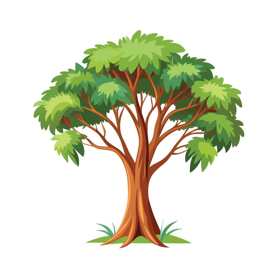 Beautiful Single Big Tree Illustration vector