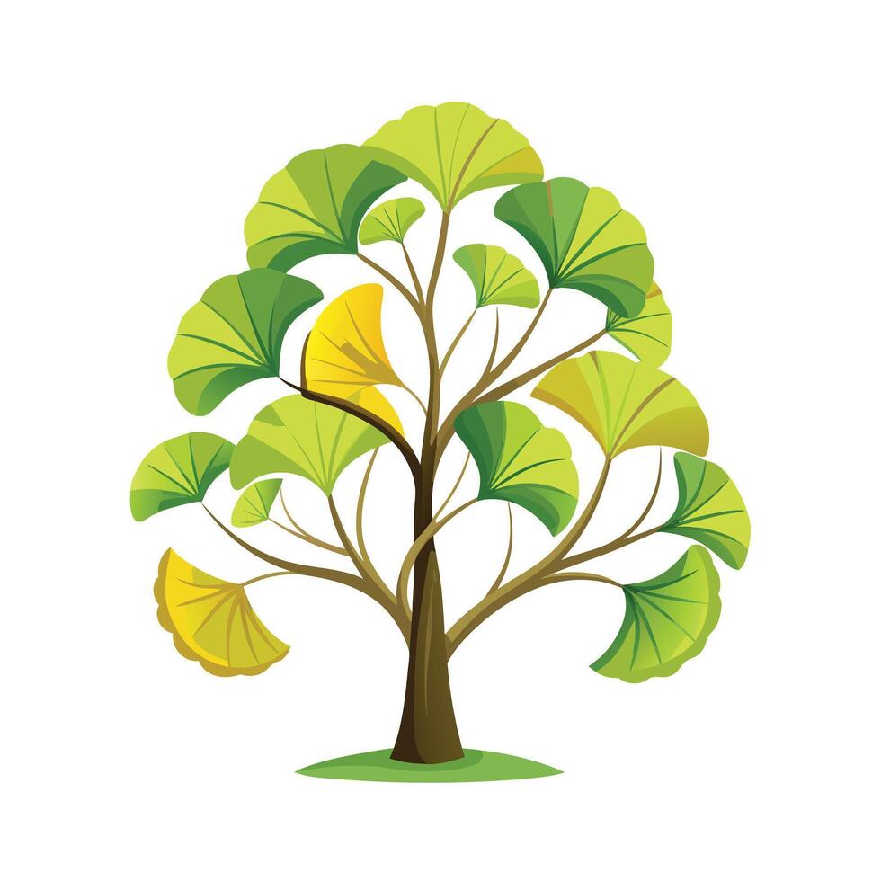 Beautiful Single Big Tree Illustration vector
