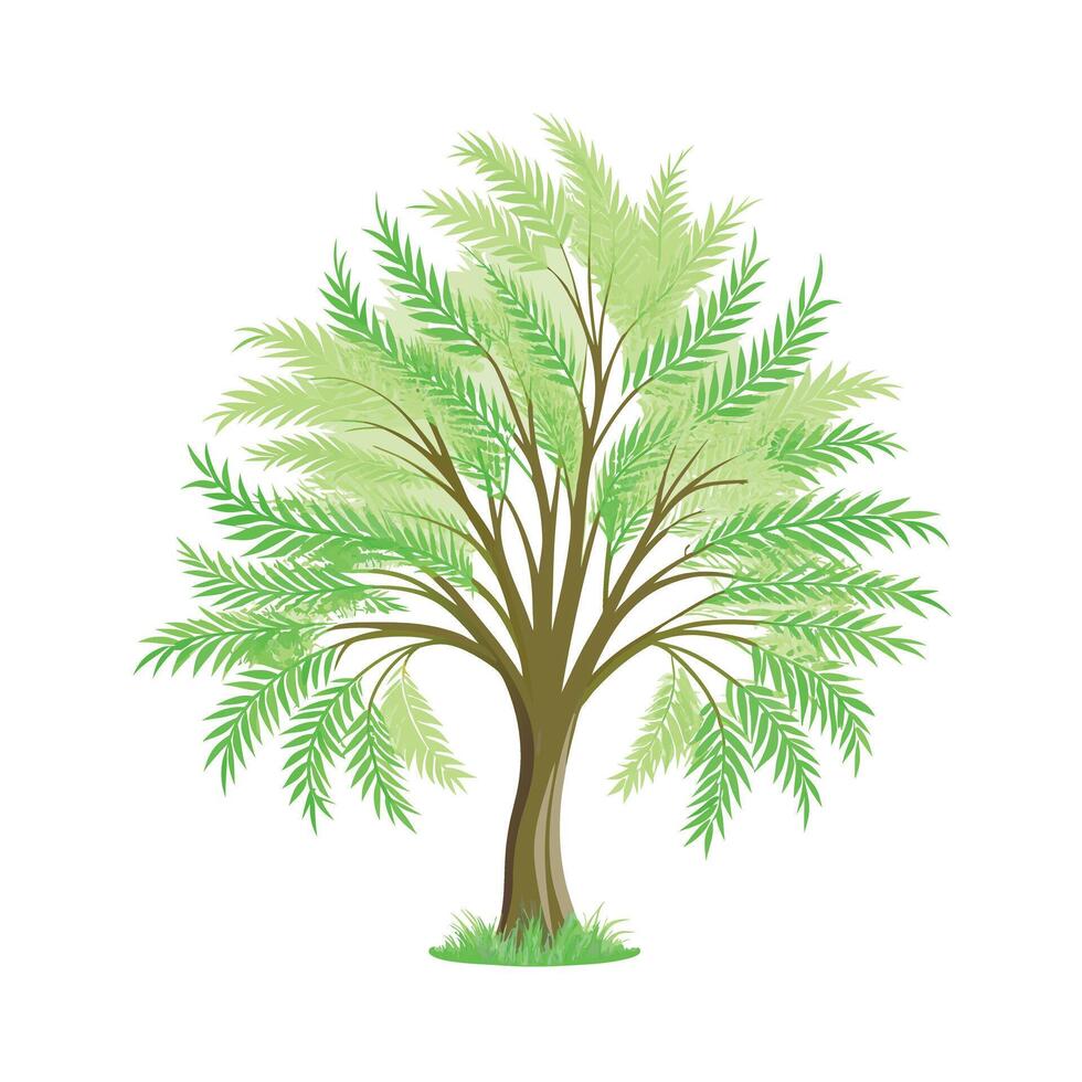 Beautiful Single Big Tree Illustration vector