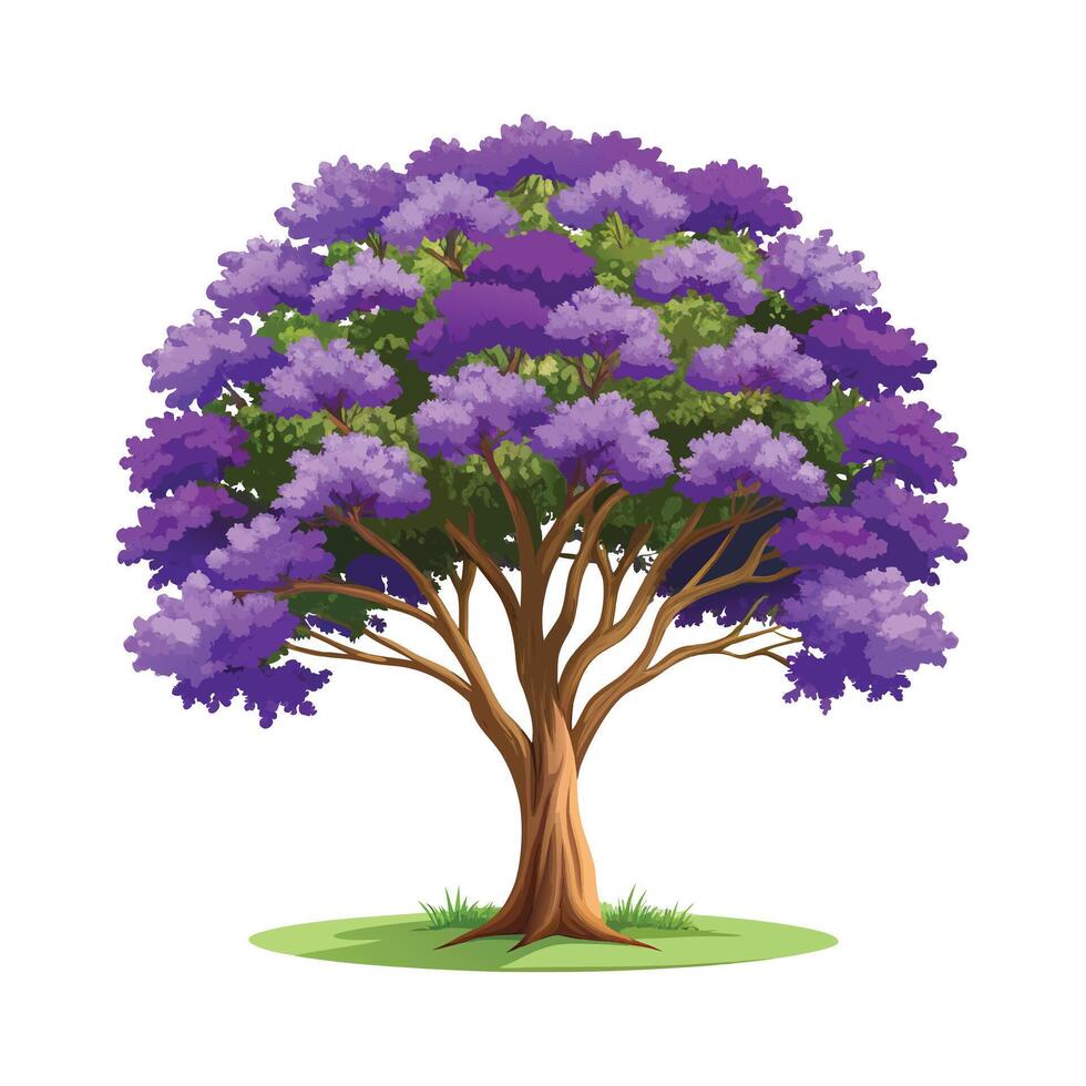 Beautiful Single Big Tree Illustration vector